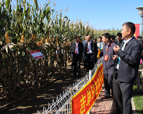 吉農(nóng)高新公司參加第十一屆全國系列報道四